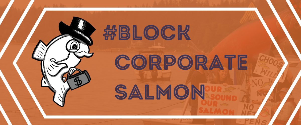 Block Corporate Salmon Banner_Uprooted and Rising