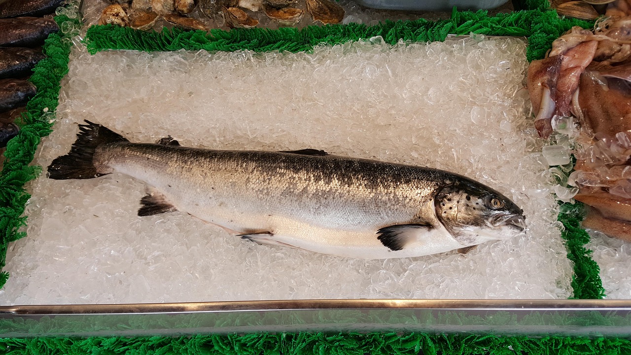 A whole salmon fish sits on ice at a fish market.