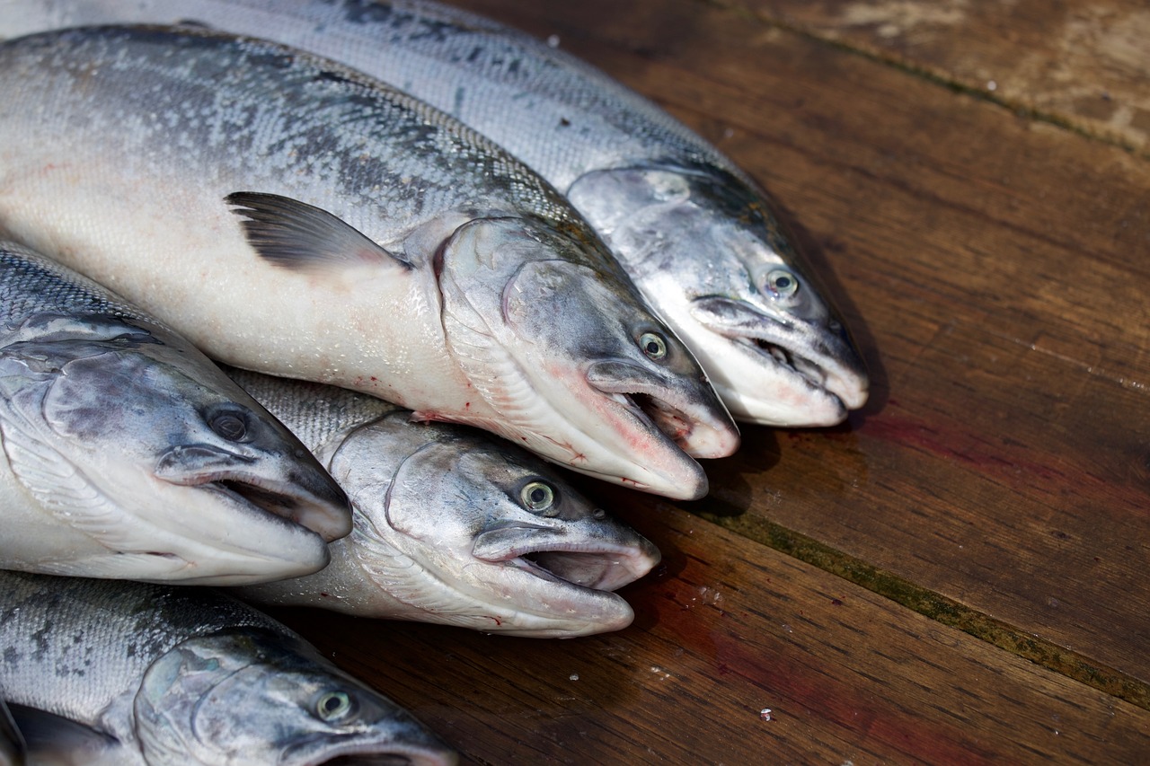 A pile of a 5 whole salmon sit on a wooden counter.